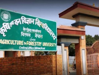लामो समयदेखि कायममुकायम प्रमुखको भरमा विश्वविद्यालय