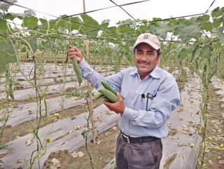 कृषि ऋणमा दुई प्रतिशत ब्याज छुट
