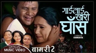 प्रिति र कुमारको आवाज रहेको ‘गाईलाई खरी घाँस’ बजारमा ! (भिडियोसहित)