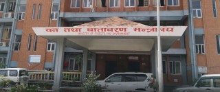 कार्बन सञ्‍चितिबापत नेपालले पाउने भयो पाँच अर्ब रुपैयाँ