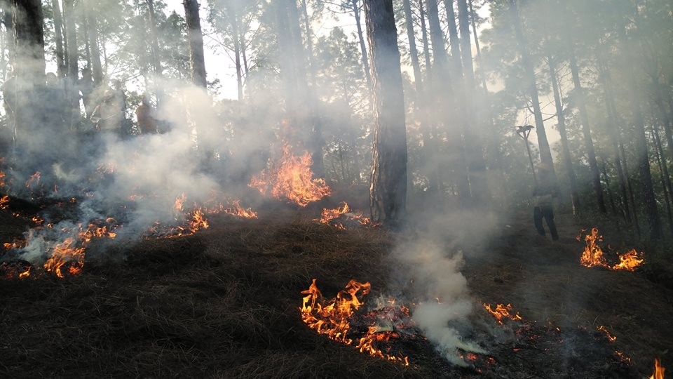 नेपालमा डढेलो १० वर्षयताकै उच्च : फायर फाइटिङ हेलिकप्टर ल्याउन दुई अर्ब माग