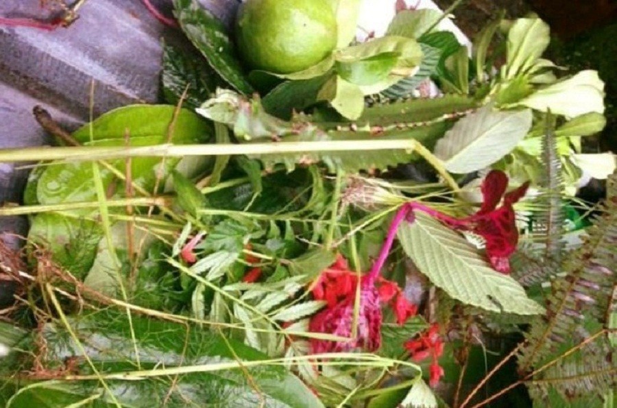आज साउने संक्रान्ति मनाइँदै