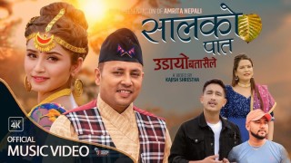 अमृता नेपालीको  ‘सालको पात उडायो बतासैले’ टिकटकमा हिट (भिडियोसहित)