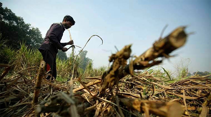 उखुबारीमा शंकास्पद दुई खाल्डाः एउटामा शव, अर्कोमा उत्खनन गरिंदै