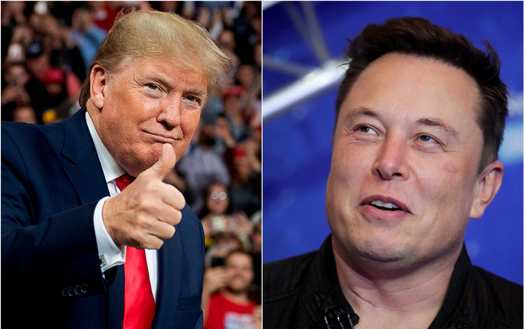 Elon Musk says he would reverse twitter ban on trump