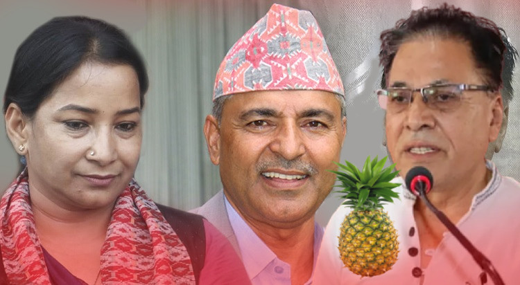 भरतपुर अपडेटः रेनुलाई ३ हजार २५८ मतको अग्रता, एमालेका सुवेदी पछिपछि