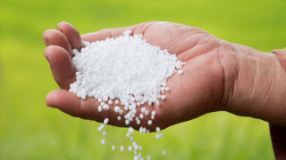 मल पाइने भएपछि वालिङका किसान खुसी