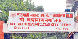 काठमाडौं महानगरद्वारा डेङ्गी सङ्क्रमितका लागि २४ घण्टे हटलाइन सेवा सुरु