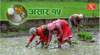 Asar 15 National Paddy Day