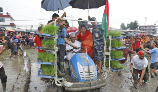 Oli transplants from machine in Bhaktapur