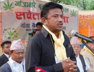 'Nepal Ganja Party' being forming, searching for chairman