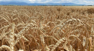 Turkey says Russia, Ukraine to sign grain export deal on Friday