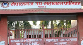 बाँकेमा ५ जना दादुराका बिरामी थपिए, महामारी फैलन सक्ने भन्दै दुई दिन सार्वजनिक बिदा