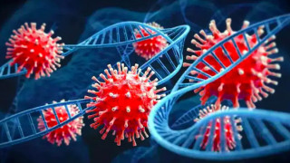 कोरोना भाइरसको नयाँ भेरियन्ट फेला, कत्तिको छ संक्रामक ?