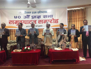 प्रज्ञा प्रतिष्ठानको लागि बजेट बढाउनुपर्छ: कुलपति राइ