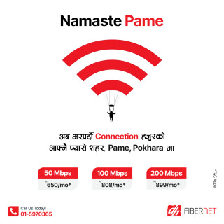 डिशहोम फाइवरनेटको सेवा पामेमा