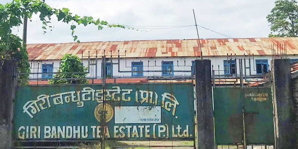गिरीबन्धु टी स्टेटको जग्गा सट्टापट्टा गर्न दिने निर्णय सर्वोच्च अदालतद्वारा बदर