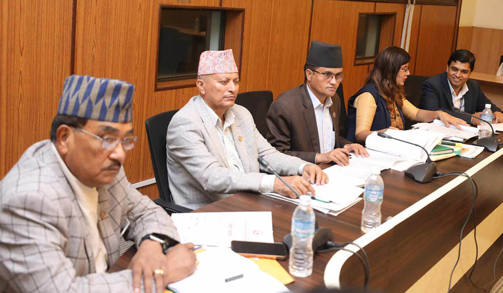 सहकारी प्रकरणः छानबिन समितिले लियो गृहसचिव, आईजीपी र सीआईबी प्रमुखसँग बयान