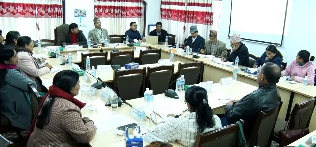 आत्महत्या निरुत्साहनका लागि प्रभावकारी जनचेतनामूलक कार्यक्रम सञ्चालन गर्न सरकारलाई सुझाव