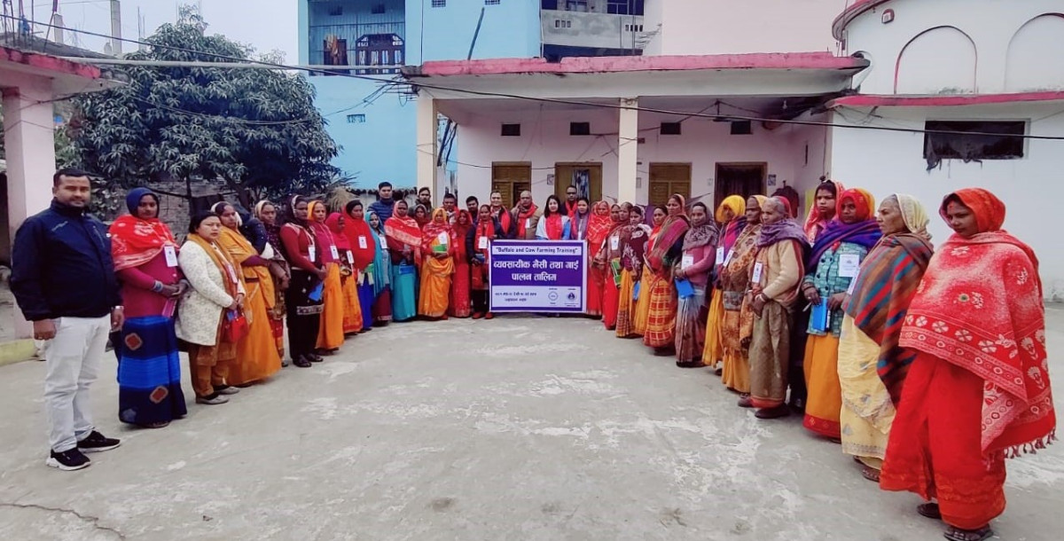 निर्धन संस्थाद्वारा धनुषाधाममा व्यवसायिक भैंसी तथा गाई पालन तालिम प्रदान