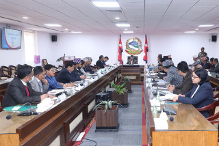 आवासीय चिकित्सकलाई सरकारी सरहको निर्वाह भत्ता उपलब्ध गराउने विषयमा छलफल