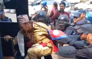 कुलमान पक्षको आन्दोलनमा ‘राजाको पोष्टर बोक्ने’ विदेशी नागरिक पक्राउ