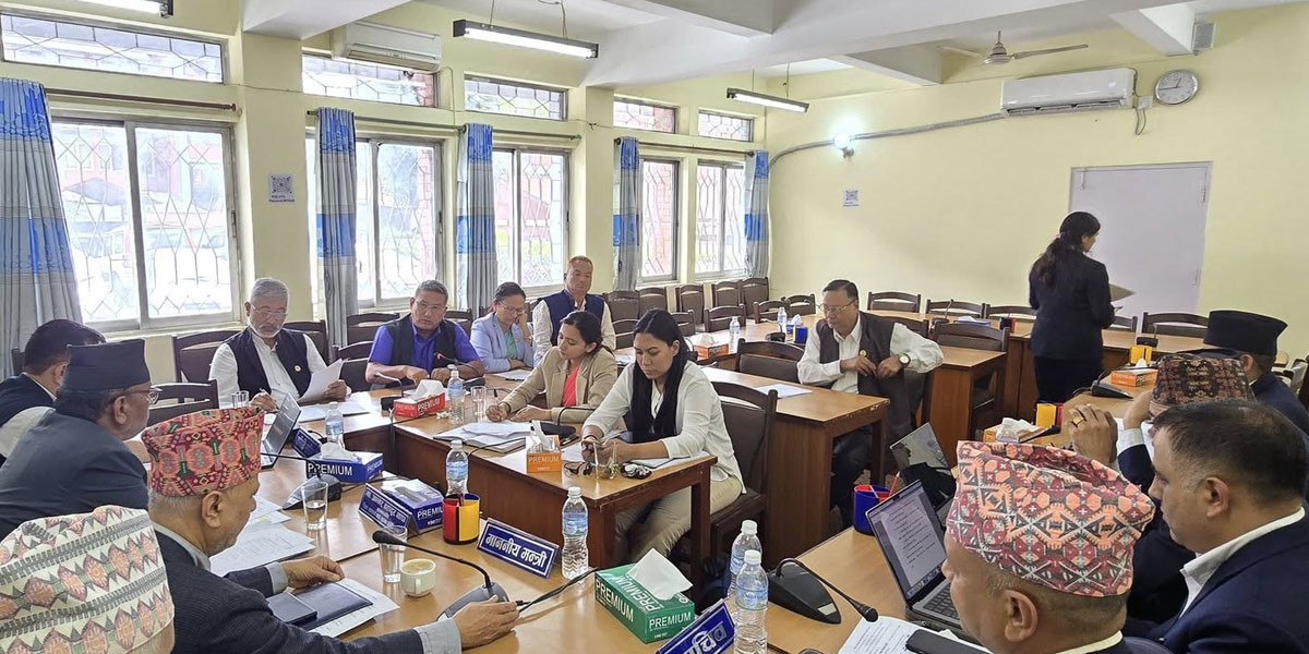 विद्यालय शिक्षा विधेयकमा माओवादी, रास्वपा र राप्रपाद्वारा फरक मत