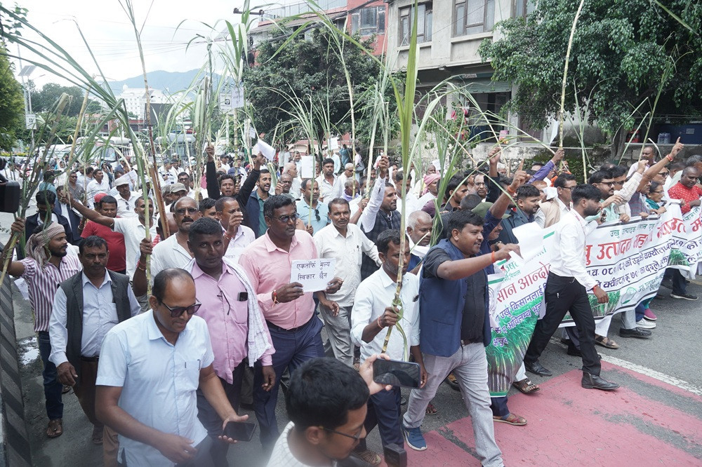उखु किसान फेरी सडकमा,अनुदान कटौती नगर्न र वक्यौता भुक्तानी गर्न माग, सरकार विचौलियासँग मिलेको आरोप (खासखबर)