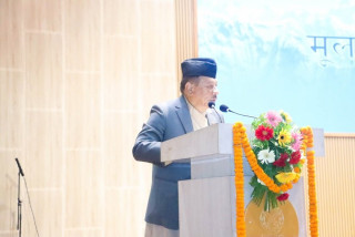 निजामती विद्येयक छिट्टै पारित हुने उपप्रधानमन्त्री सिंहको भनाई